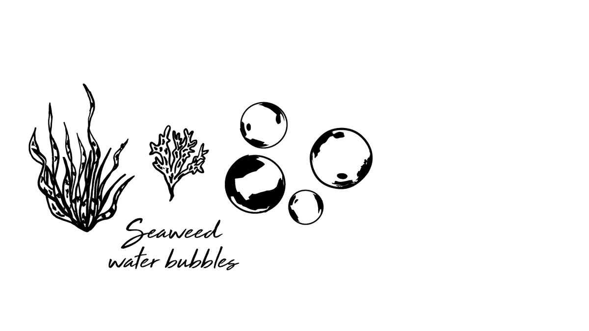 Seaweed Bubble Sustainable Packaging