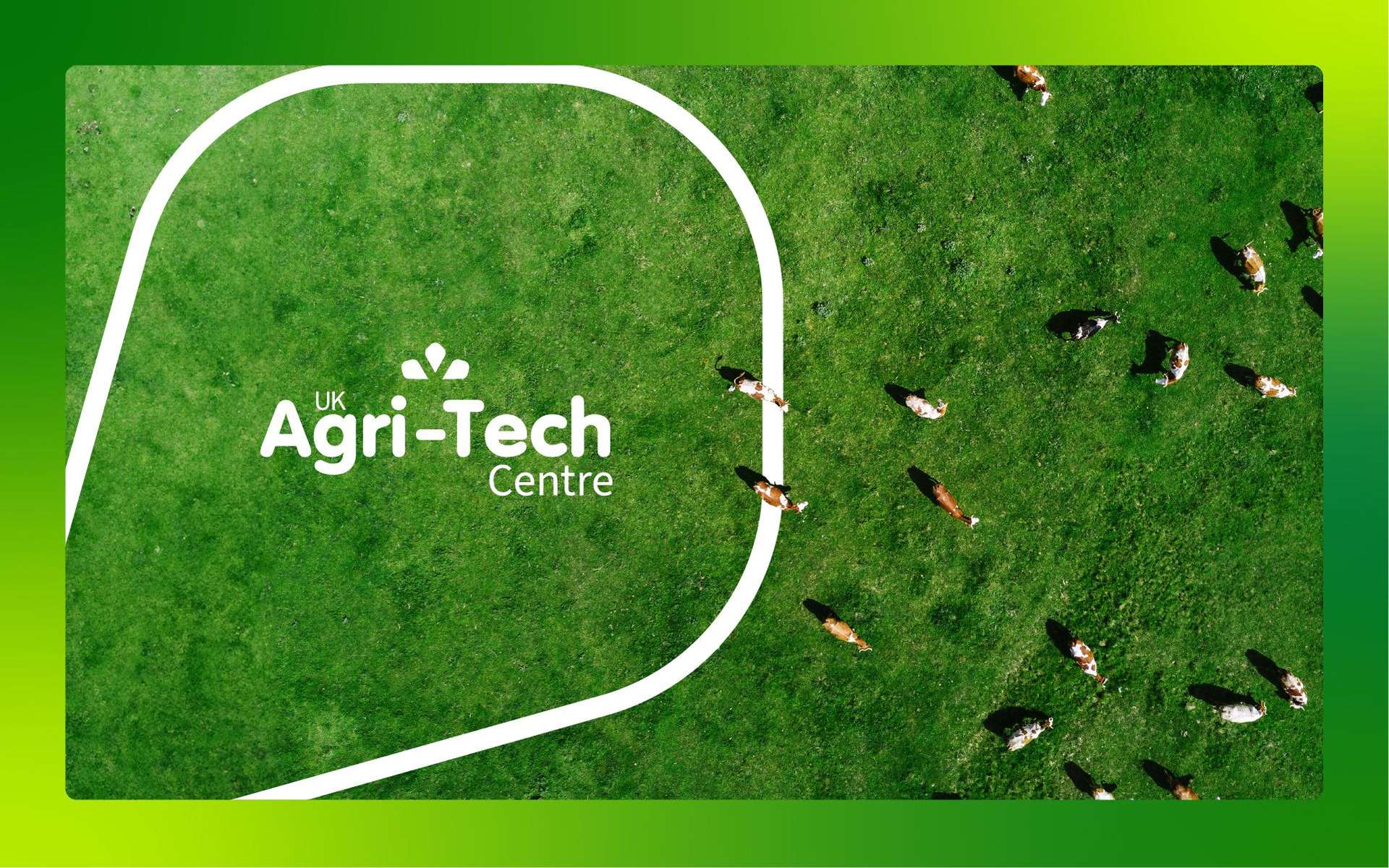 Agri-Tech Lockup with cattle and grass